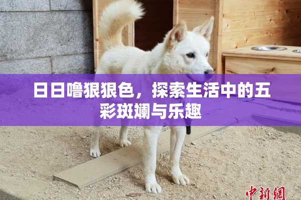 日日噜狠狠色，探索生活中的五彩斑斓与乐趣