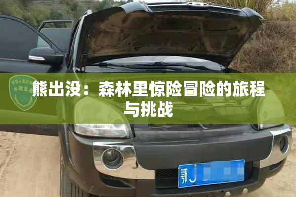 熊出没：森林里惊险冒险的旅程与挑战