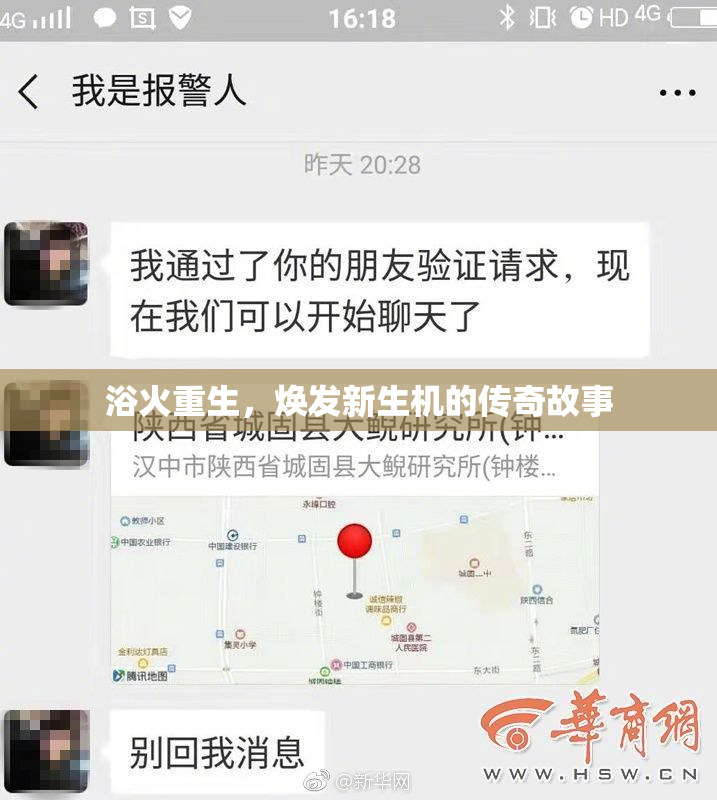 浴火重生，焕发新生机的传奇故事