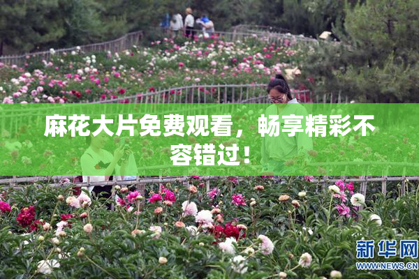 麻花大片免费观看，畅享精彩不容错过！
