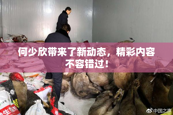 何少欣带来了新动态，精彩内容不容错过！