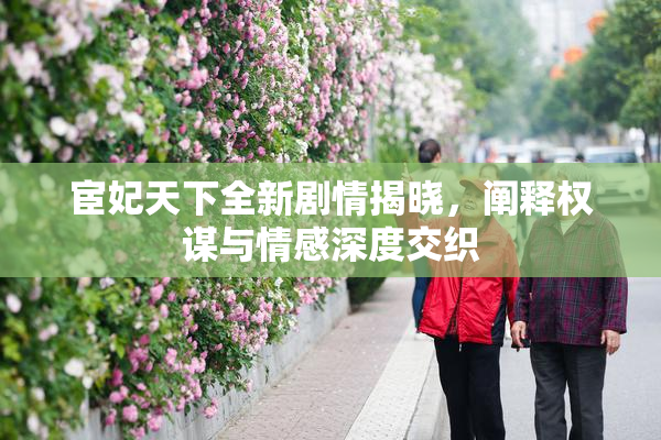 宦妃天下全新剧情揭晓，阐释权谋与情感深度交织
