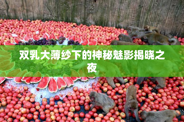 双乳大薄纱下的神秘魅影揭晓之夜