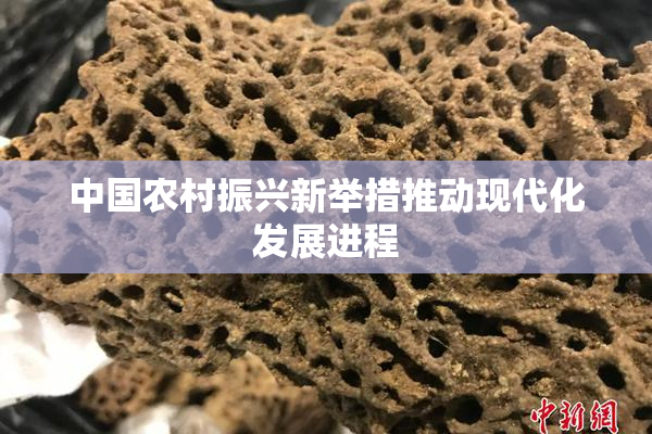 中国农村振兴新举措推动现代化发展进程