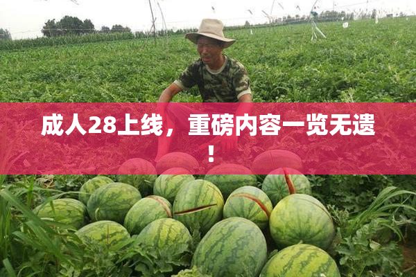 成人28上线，重磅内容一览无遗！