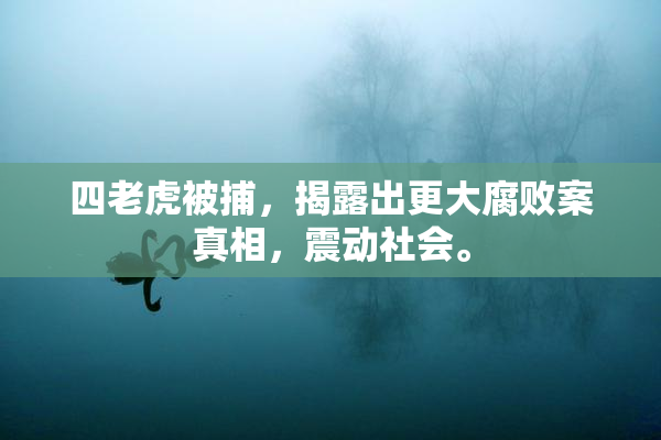 四老虎被捕，揭露出更大腐败案真相，震动社会。