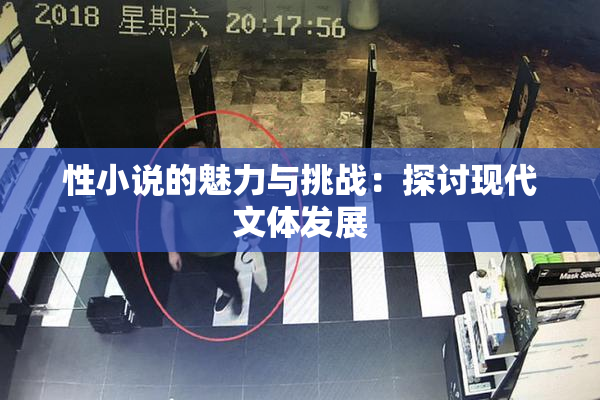 性小说的魅力与挑战：探讨现代文体发展