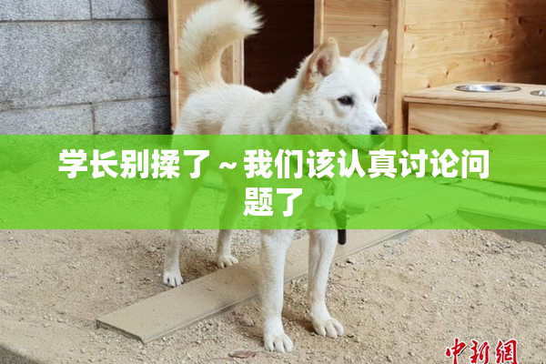 学长别揉了～我们该认真讨论问题了