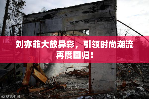 刘亦菲大放异彩，引领时尚潮流再度回归！