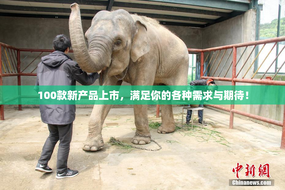 100款新产品上市，满足你的各种需求与期待！