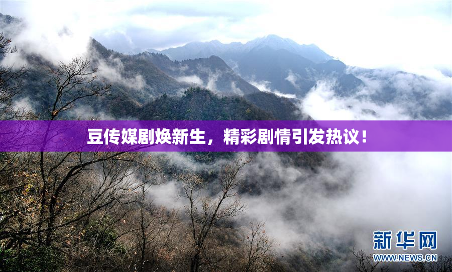 豆传媒剧焕新生，精彩剧情引发热议！