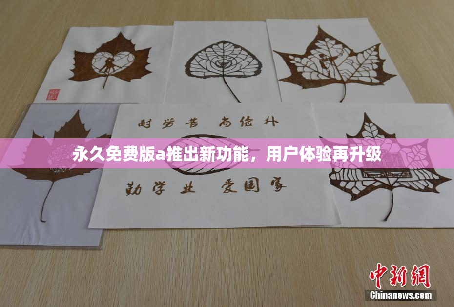 永久免费版a推出新功能，用户体验再升级