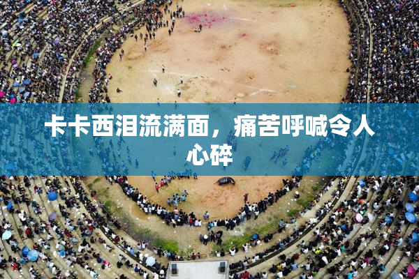 卡卡西泪流满面，痛苦呼喊令人心碎