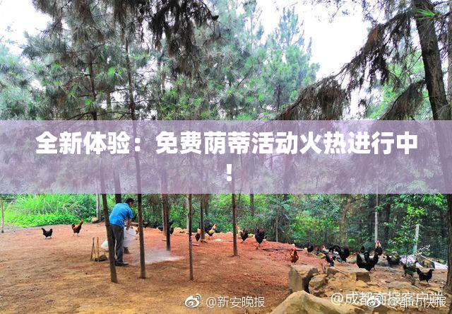 全新体验：免费荫蒂活动火热进行中！