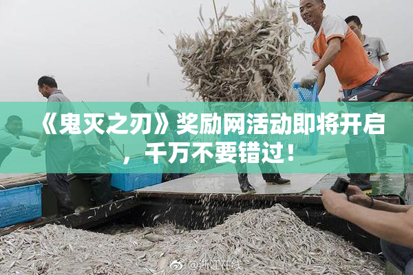《鬼灭之刃》奖励网活动即将开启，千万不要错过！
