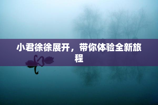 小君徐徐展开，带你体验全新旅程
