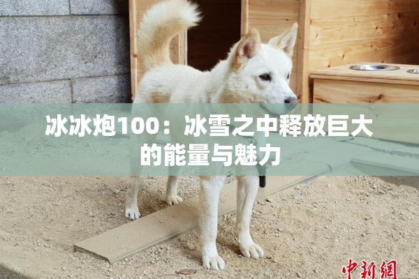 冰冰炮100：冰雪之中释放巨大的能量与魅力