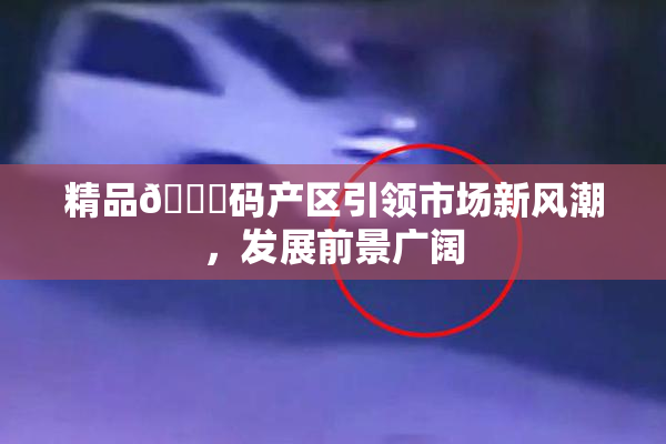 精品🈚码产区引领市场新风潮，发展前景广阔