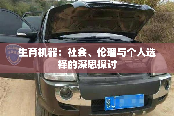 生育机器：社会、伦理与个人选择的深思探讨