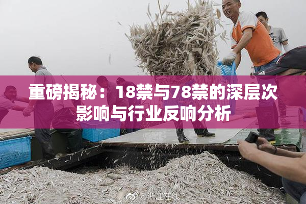 重磅揭秘：18禁与78禁的深层次影响与行业反响分析