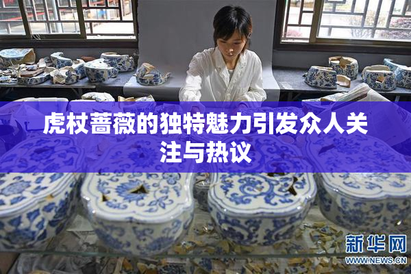 虎杖蔷薇的独特魅力引发众人关注与热议