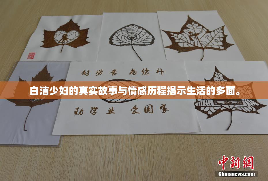 白洁少妇的真实故事与情感历程揭示生活的多面。