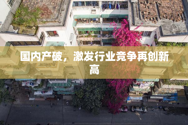 国内产破，激发行业竞争再创新高