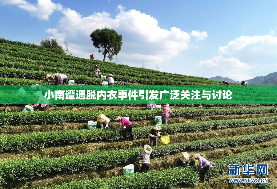 小南遭遇脱内衣事件引发广泛关注与讨论