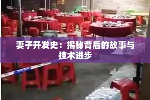 妻子开发史：揭秘背后的故事与技术进步