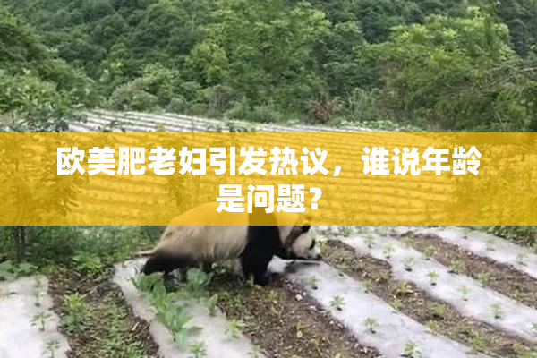 欧美肥老妇引发热议，谁说年龄是问题？