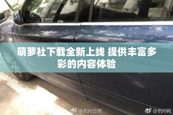萌萝社下载全新上线 提供丰富多彩的内容体验