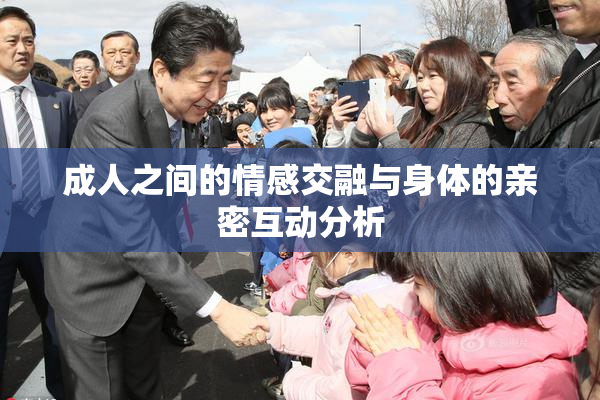 成人之间的情感交融与身体的亲密互动分析