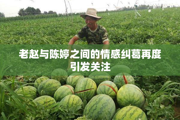 老赵与陈婷之间的情感纠葛再度引发关注