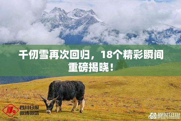 千仞雪再次回归，18个精彩瞬间重磅揭晓！