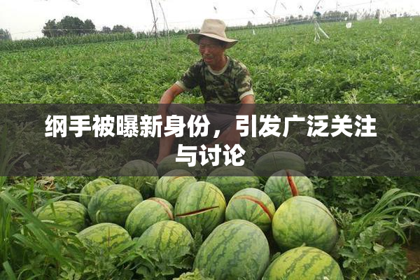 纲手被曝新身份，引发广泛关注与讨论
