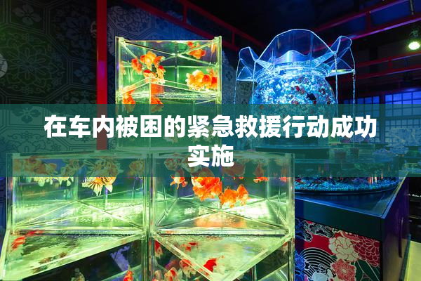 在车内被困的紧急救援行动成功实施