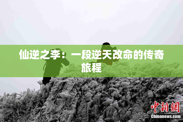 仙逆之李：一段逆天改命的传奇旅程