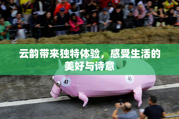 云韵带来独特体验，感受生活的美好与诗意
