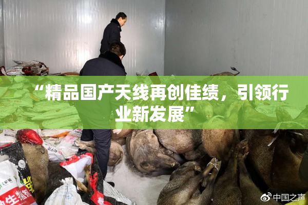 “精品国产天线再创佳绩，引领行业新发展”