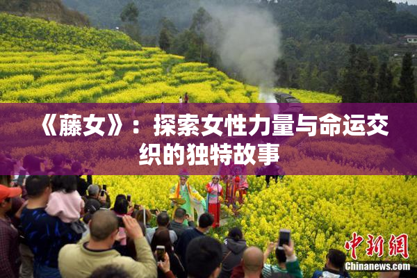 《藤女》：探索女性力量与命运交织的独特故事