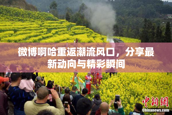 微博啊哈重返潮流风口，分享最新动向与精彩瞬间