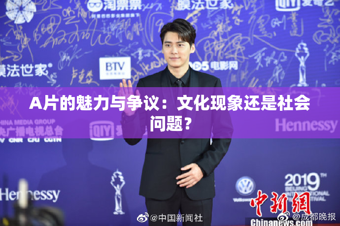 A片的魅力与争议：文化现象还是社会问题？