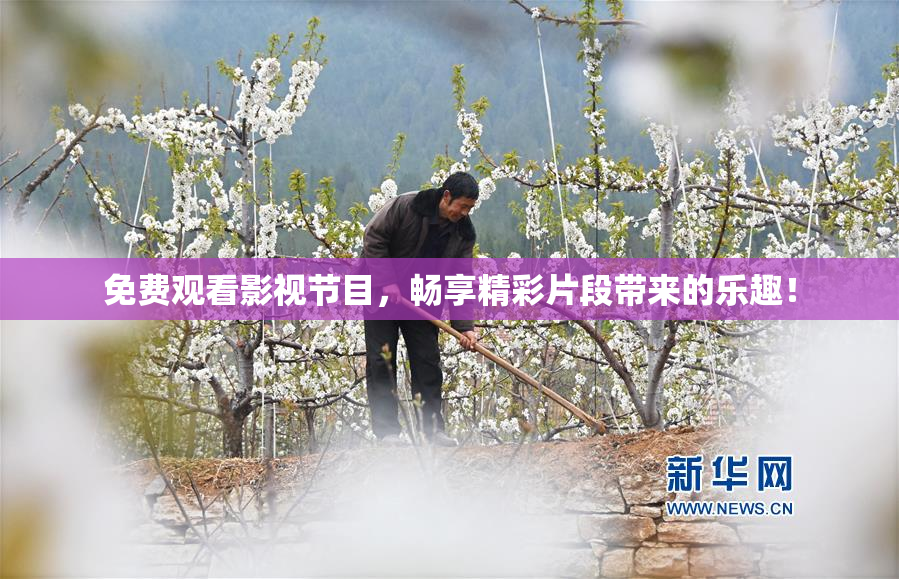 免费观看影视节目，畅享精彩片段带来的乐趣！