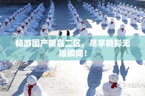 畅游国产精品二区，尽享精彩无限瞬间！