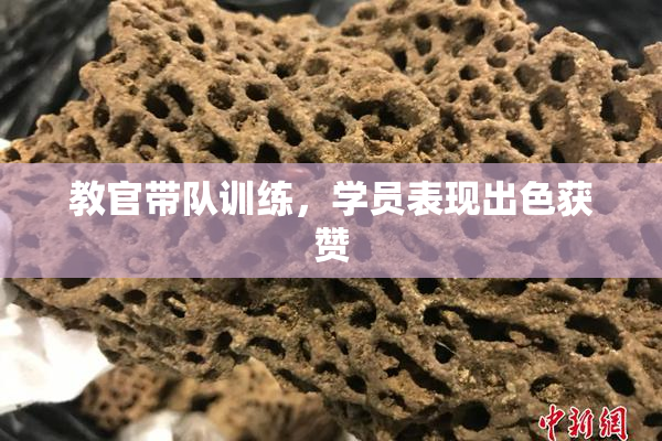 教官带队训练，学员表现出色获赞