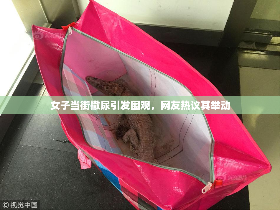 女子当街撒尿引发围观，网友热议其举动
