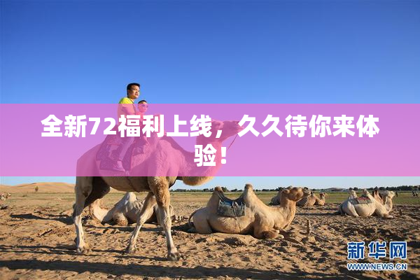 全新72福利上线，久久待你来体验！