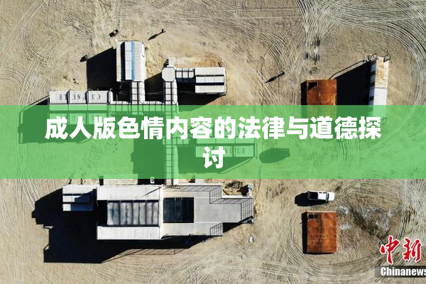 成人版色情内容的法律与道德探讨