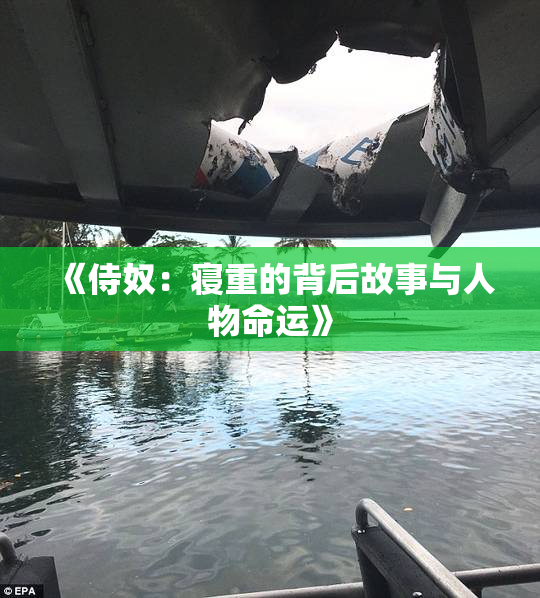 《侍奴：寝重的背后故事与人物命运》