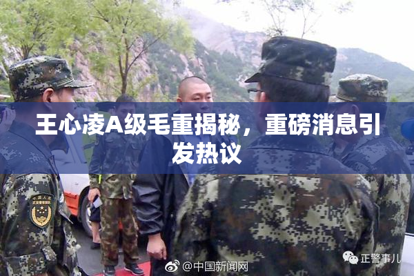 王心凌A级毛重揭秘，重磅消息引发热议